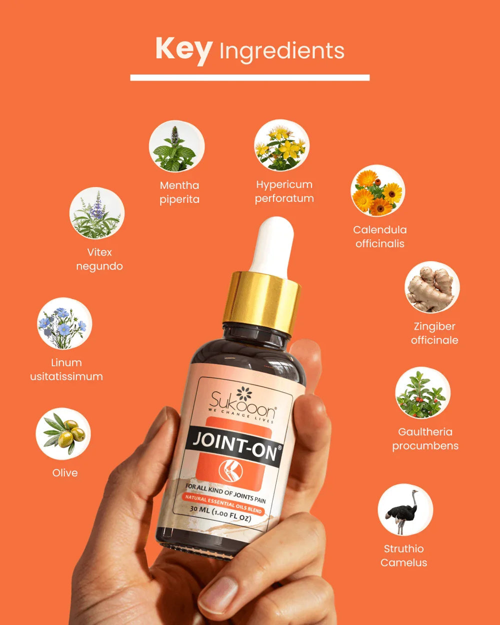 Sukoon Joint On Essential Oil Blend 30ML – Natural Pain Relief for Joints, Back, Knee, Arthritis, Strains & Sprains